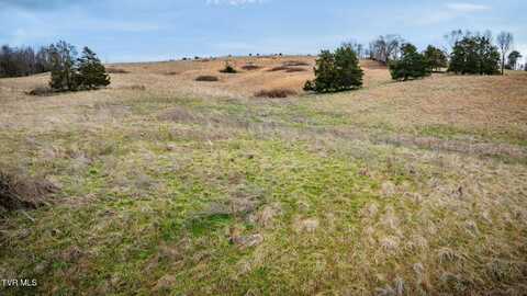 Sand Valley Road, Jonesborough, TN 37659