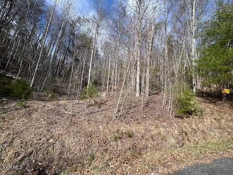 Callalantee Drive, Mountain City, TN 37683