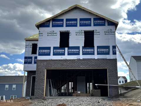 615 Canoe Street, Johnson City, TN 37604