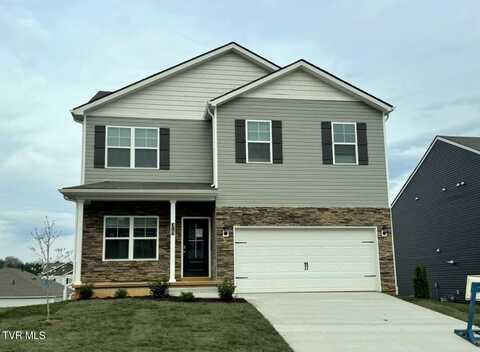 319 Terrapin Drive, Johnson City, TN 37604