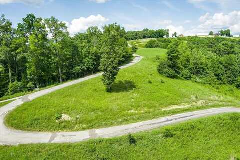 0.81 AC Bald Eagle Lane, Hilham, TN 38568
