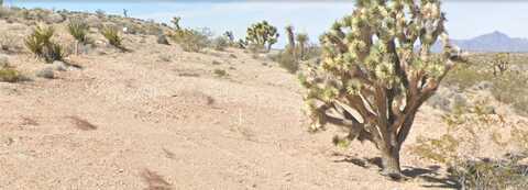 29779 Driftwood Drive, Meadview, AZ 86444