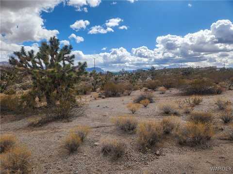 900 W Grand Wash Drive, Meadview, AZ 86444