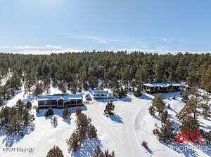 Holly, MOORCROFT, WY 82721