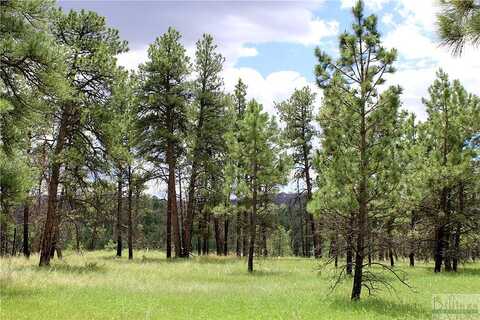 Tbd Deer Lane, Roundup, MT 59072