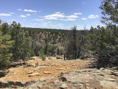 Lot 207 Meadow Dr, Ramah, NM 87321