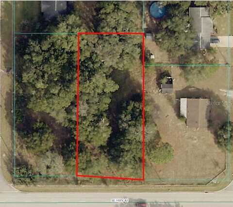 Highway 42, Summerfield, FL 34491