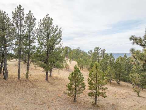 Tbd Lot 6 Joy Drive, Hot Springs, SD 57747