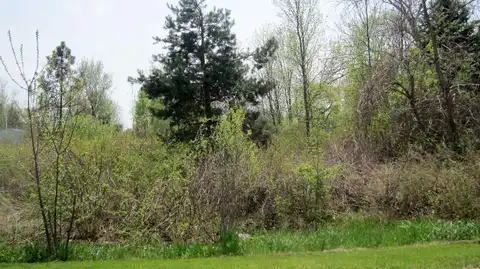 Tbd Lot 49 Leona Drive # Lot 49, Mount Pleasant, MI 48858