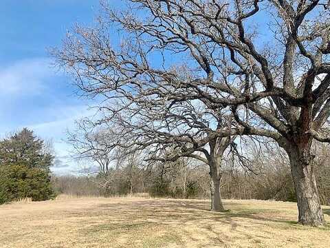 Tbd Fm 1753, Savoy, TX 75479