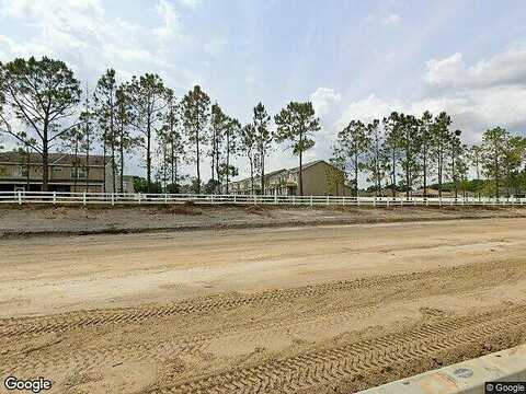 Saddlehorn, LAND O LAKES, FL 34639