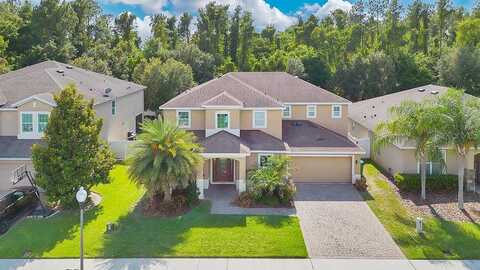 Vinsetta, WINTER GARDEN, FL 34787