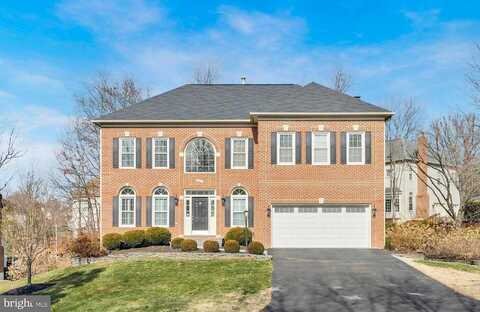 Scott, SPRINGFIELD, VA 22153