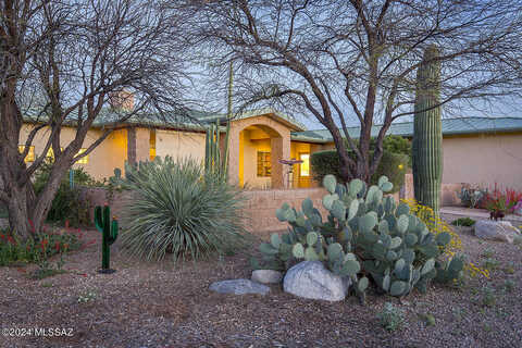 Daliann, TUCSON, AZ 85748
