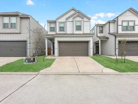 Ibiza, HOUSTON, TX 77045