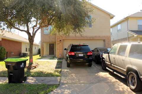 Aurora Mist, HOUSTON, TX 77053