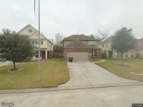 Fire Sage, HUMBLE, TX 77396