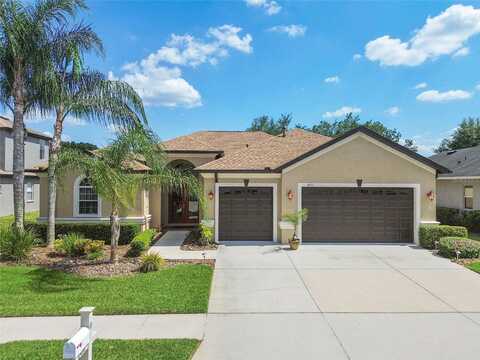 Beaconsfield, WESLEY CHAPEL, FL 33543