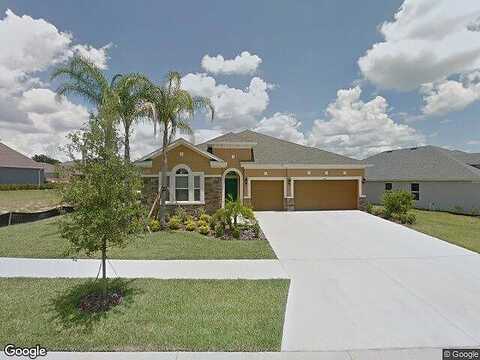 Tracey Ann, SEFFNER, FL 33584
