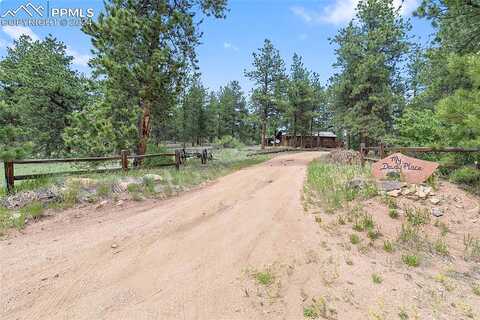 Pine Forest, LAKE GEORGE, CO 80827