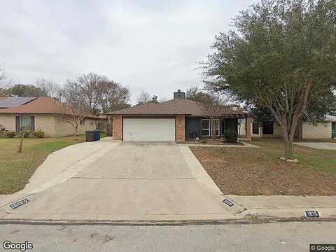 Bay Horse, SAN ANTONIO, TX 78245