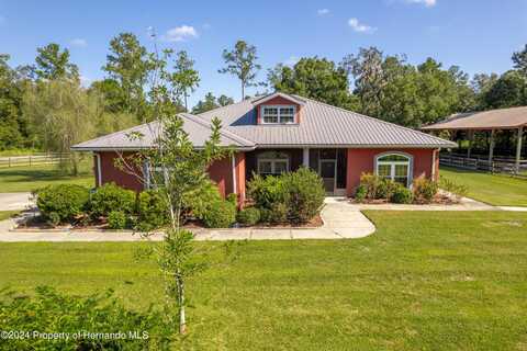 Powell, BROOKSVILLE, FL 34604