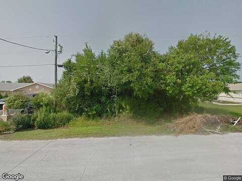Hamster, KISSIMMEE, FL 34759