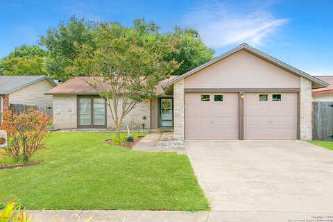 Borden Oak, LIVE OAK, TX 78233