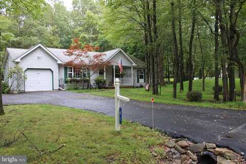 Larch, ALBRIGHTSVILLE, PA 18210