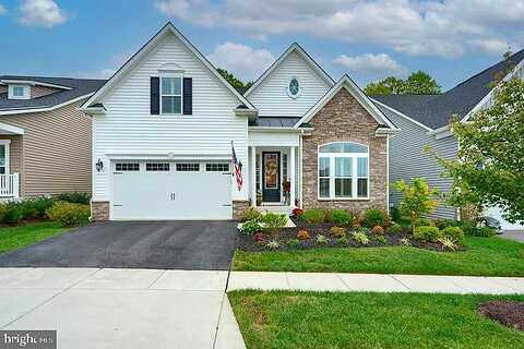 Meander, ODENTON, MD 21113