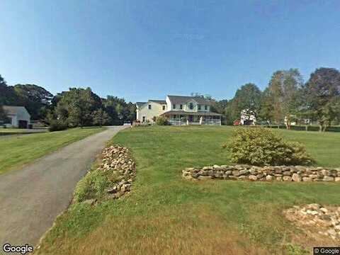 Shadbush, COLCHESTER, CT 06415