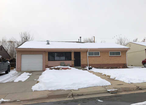 Cedar, WESTMINSTER, CO 80031