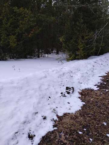 Lot 159 W Renwick Circle, Presque Isle, MI 49777