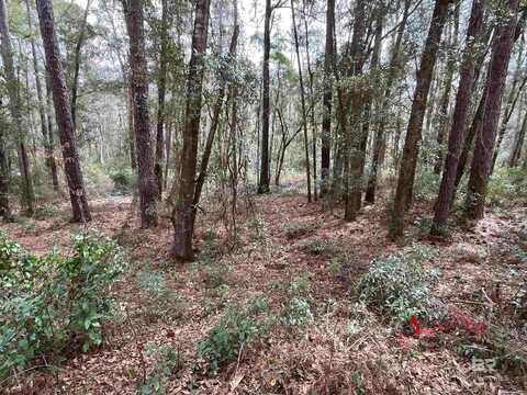 0 North Circle, Fairhope, AL 36532