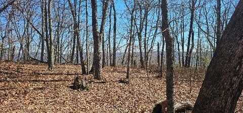 1 Vista View Drive S, Dunlap, TN 37327