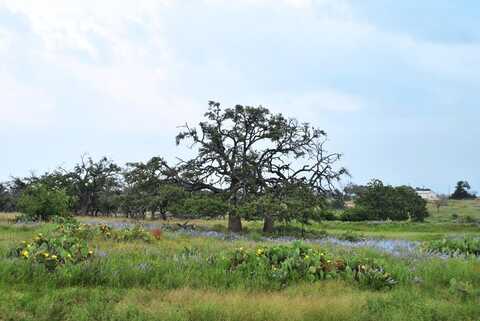 1101 Dreamcatcher Ln., Harper, TX 78631