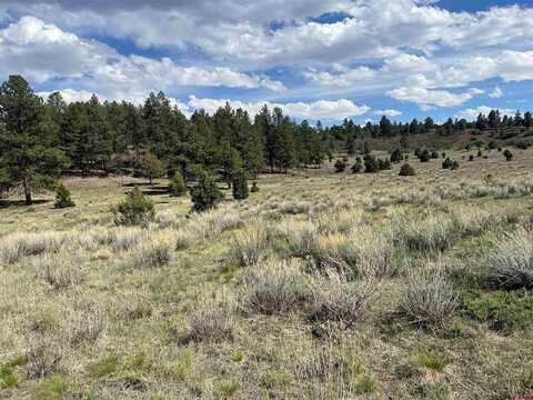TBD White Tail Lane, Ridgway, CO 81432