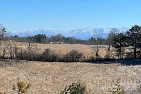 7550 Meadows Town Road, Marshall, NC 28753