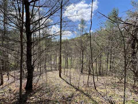 999 Freedom Lane, Hot Springs, NC 28743