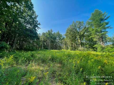 40 Taft Road, Barryton, MI 49305