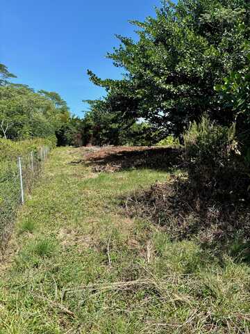 15-1423 16TH AVE, Keaau, HI 96749