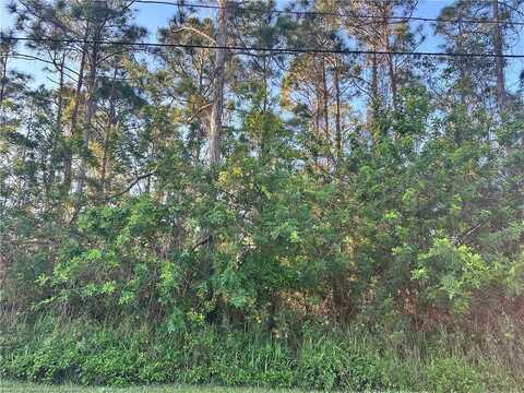 1622 Nectar Avenue, Sebring, FL 33875