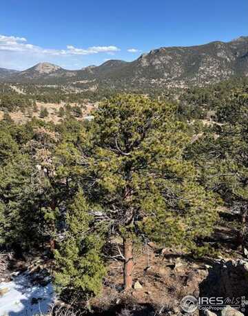 345 Green Pine Ct, Estes Park, CO 80517