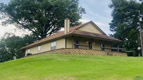 596 Anderson Rd, Harleton, TX 75651