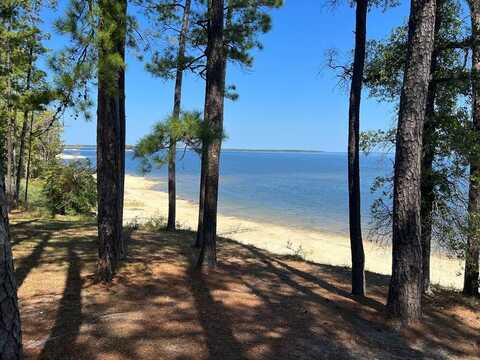 420 Sparkleberry Dr., Brookeland, TX 75931