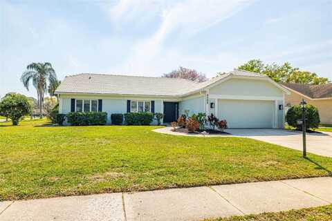 9209 PEBBLE CREEK DRIVE, TAMPA, FL 33647