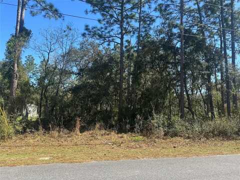 undefined, OCALA, FL 34472