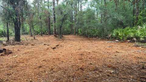 318 PALM WAY, GEORGETOWN, FL 32139