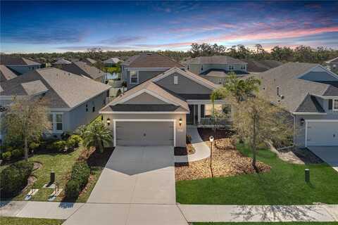 10919 BLUE MAGNOLIA LANE, PARRISH, FL 34219
