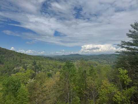 7 Salt Lick Lane, BRASSTOWN, NC 28902